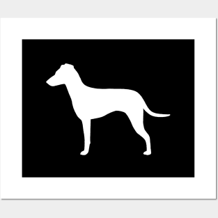 Manchester Terrier Silhouette with Natural Ears Posters and Art